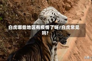 白虎哪些地区有疫情了呀/白虎常见吗?
