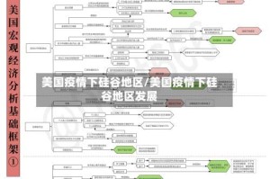 美国疫情下硅谷地区/美国疫情下硅谷地区发展