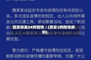 西安突发24例阳性︰(西安2例阳性病例)