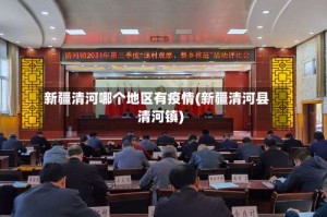 新疆清河哪个地区有疫情(新疆清河县清河镇)