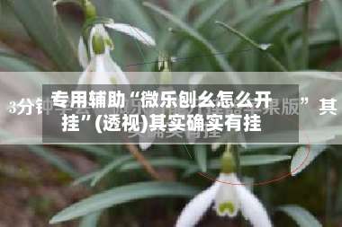 专用辅助“微乐刨幺怎么开挂”(透视)其实确实有挂-第1张图片