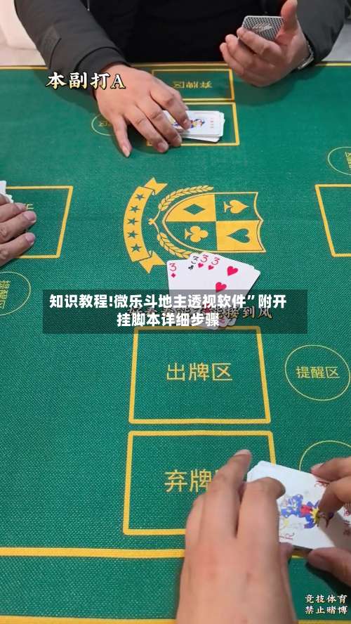 知识教程!微乐斗地主透视软件”附开挂脚本详细步骤-第2张图片