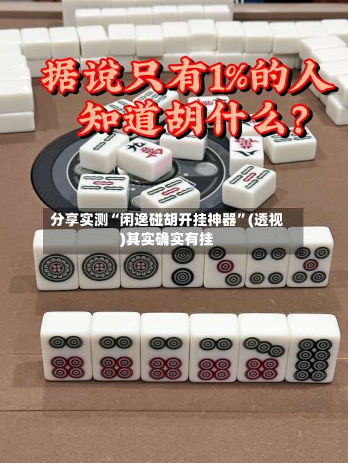 分享实测“闲逸碰胡开挂神器”(透视)其实确实有挂-第3张图片