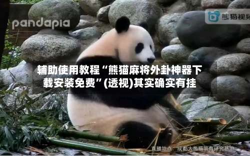 辅助使用教程“熊猫麻将外卦神器下载安装免费	”(透视)其实确实有挂-第2张图片