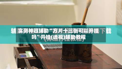 实测神器辅助“方片十三张可以开挂吗”开挂(透视)辅助教程-第3张图片