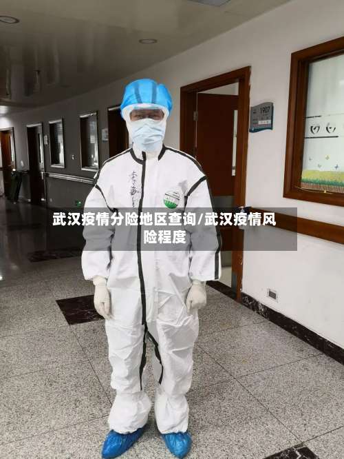 武汉疫情分险地区查询/武汉疫情风险程度-第3张图片