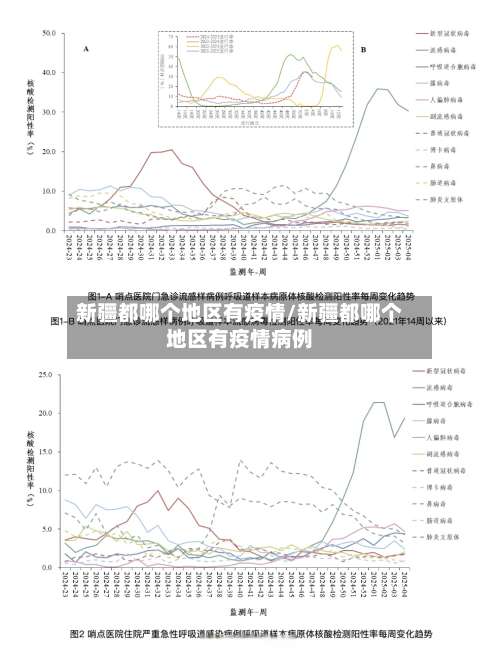 新疆都哪个地区有疫情/新疆都哪个地区有疫情病例-第1张图片