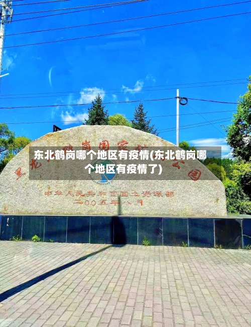 东北鹤岗哪个地区有疫情(东北鹤岗哪个地区有疫情了)-第3张图片
