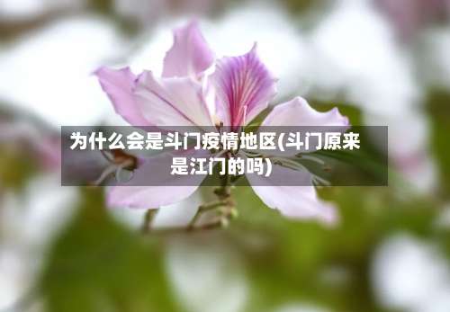 为什么会是斗门疫情地区(斗门原来是江门的吗)-第2张图片