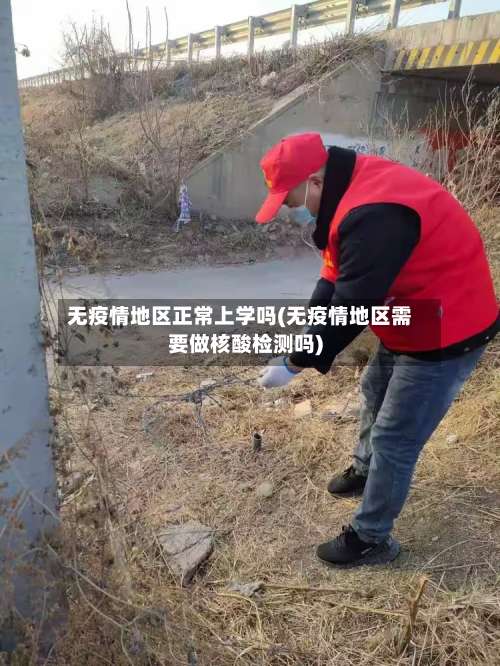 无疫情地区正常上学吗(无疫情地区需要做核酸检测吗)-第2张图片