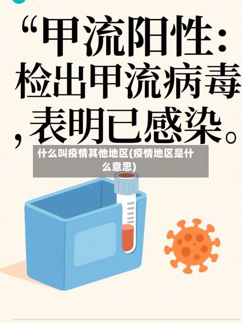 什么叫疫情其他地区(疫情地区是什么意思)-第2张图片