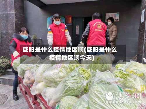 咸阳是什么疫情地区啊(咸阳是什么疫情地区啊今天)-第1张图片