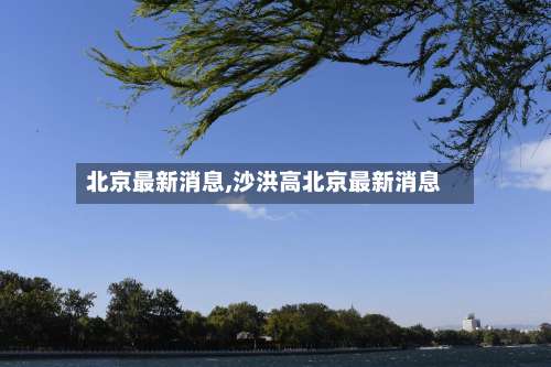 北京最新消息,沙洪高北京最新消息-第2张图片