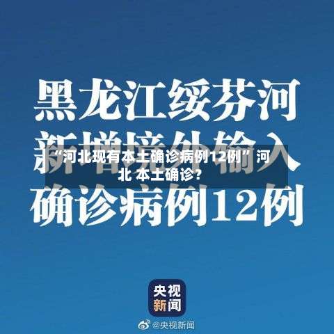 “河北现有本土确诊病例12例	” 河北 本土确诊？-第1张图片