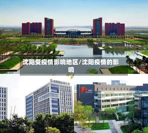 沈阳受疫情影响地区/沈阳疫情的影响-第1张图片