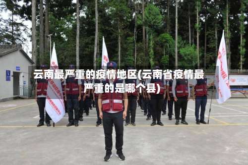 云南最严重的疫情地区(云南省疫情最严重的是哪个县)-第3张图片