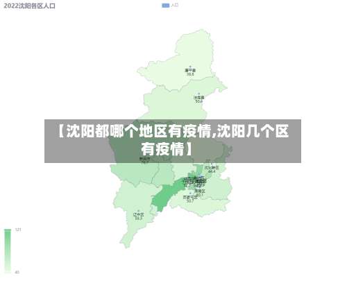 【沈阳都哪个地区有疫情,沈阳几个区有疫情】-第2张图片