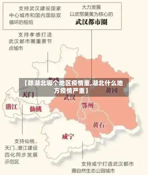 【除湖北哪个地区疫情重,湖北什么地方疫情严重】-第2张图片